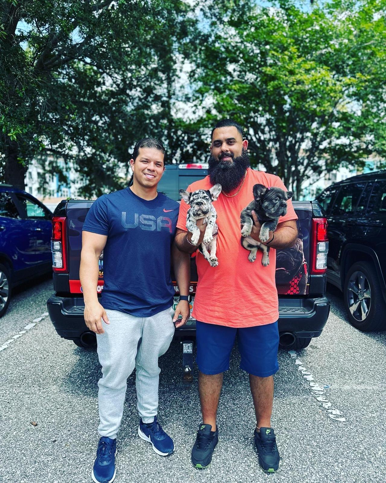 NB Frenchies Family 3