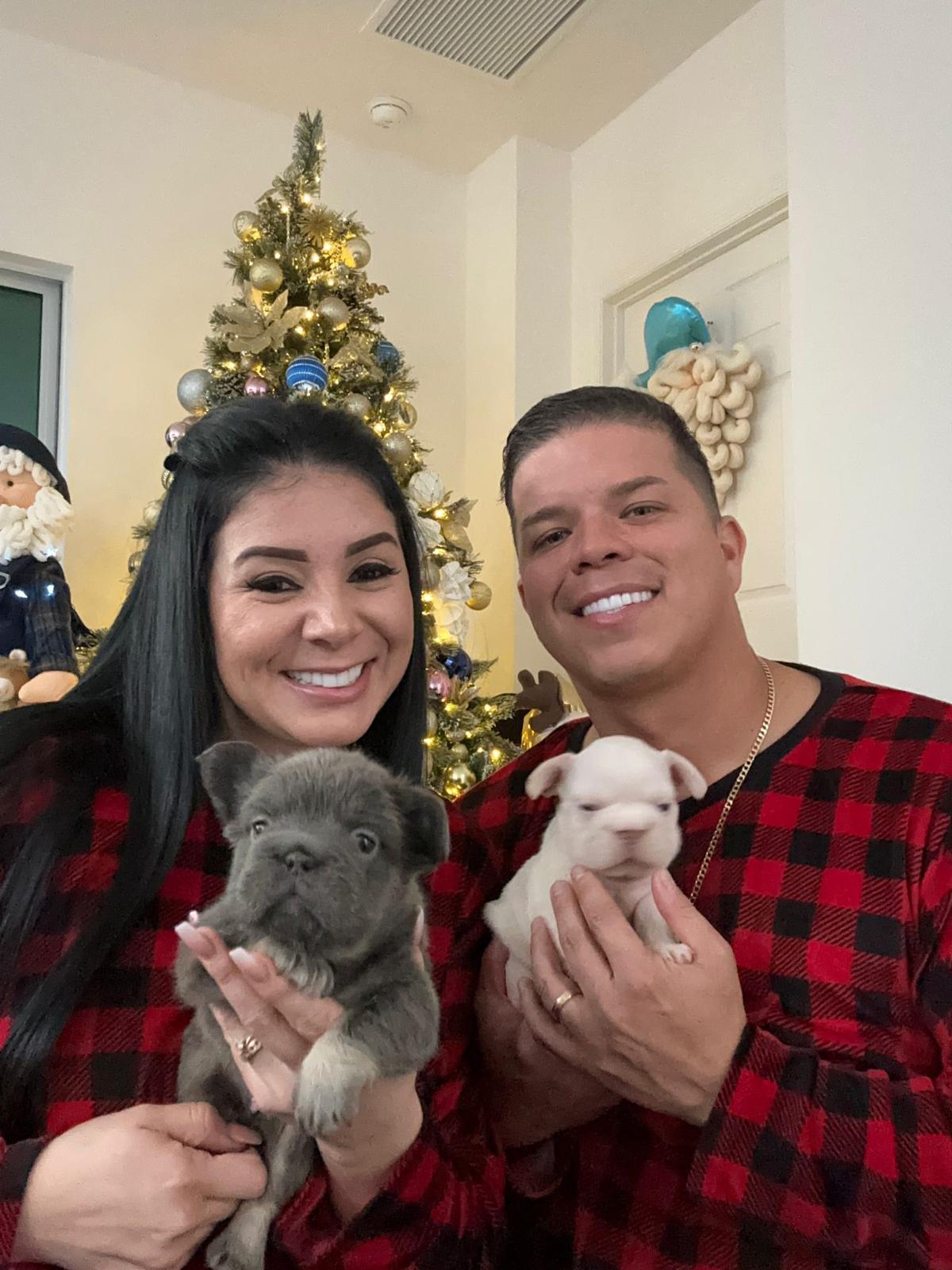 NB Frenchies Family 5